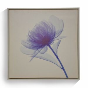 Cuadro de Flor Azul