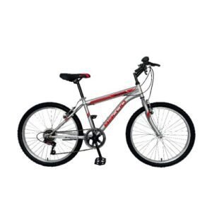 Bicicleta Baccio Alpina Man r24 plata