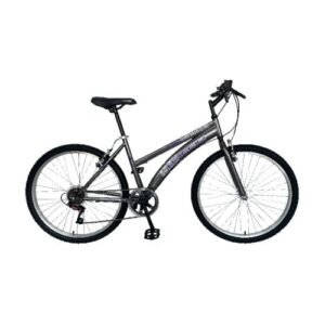 Bicicleta Baccio Alpina Lady R26 Gris